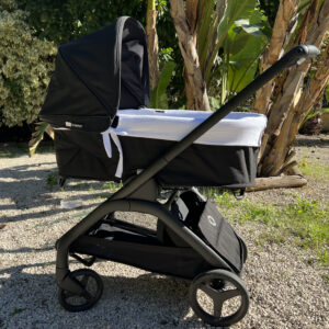 BUGABOO DRAGONFLY